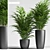 Exquisite 3D Plant Collection 3D model small image 1