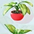 Tropical Room Plant Set 3D model small image 3