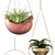 Green Oasis: PLANTS 143 - MAX 2015, 2012 & Fbx 3D model small image 2