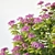 Japanese Spirea: Large, 100cm 3D model small image 2