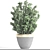 Evergreen Boxwood Shrub 3D model small image 3
