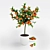 Mini Mandarin Tree: Potted Zen 3D model small image 1
