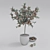 Mini Mandarin Tree: Potted Zen 3D model small image 3