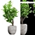 Maximize Your Green Space 3D model small image 1