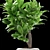 Maximize Your Green Space 3D model small image 2