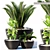 Lush Greens Collection: PLANTS 151 3D model small image 1