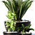 Lush Greens Collection: PLANTS 151 3D model small image 2