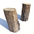 Acacia Stump: Photorealistic 3D Model 3D model small image 1