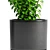 Variety of Plants and Modern Planter 3D model small image 2