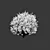 Versatile Ligustrum for Stunning Landscapes 3D model small image 3