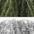 Versatile 3D Model Archive: Betula 3D model small image 3
