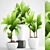 Lush Greenery Collection: Young Coconut Tree & Palm Grass 3D model small image 1