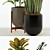 Sleek Collection of 75 Modernica Pots 3D model small image 2