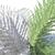  Breezy Fern - Lifelike Wind Effect 3D model small image 3