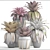 Tropical Bromelia: Exotic Collection of Plants 3D model small image 3