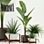 Modernica Pots: Stylish Plant Collection 3D model small image 1