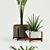 Modernica Pots: Stylish Plant Collection 3D model small image 2