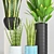 Green Oasis Pot Set: Aloe Vera, Cylindrical Sansevieria & Palm Plant 3D model small image 2