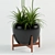 77 Modernica Pots for Stylish Plant Collection 3D model small image 2