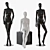 Abstract Glossy Female Mannequin: Detachable Torso, Arms and Legs 3D model small image 1