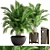 Tropical Paradise: Areca Palm Collection 3D model small image 1