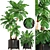 Elegant Chamaedorea: Perfect Palm for Your Interior 3D model small image 1