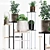 Exquisite Flora Collection 3D model small image 1