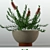 Modernica Pots Collection 3D model small image 2