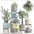 Exotic Plant Collection 3D model small image 3