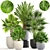 Exotic Palm Collection: Interior Pot Set 3D model small image 1