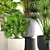 Exotic Palm Collection: Interior Pot Set 3D model small image 2