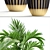 Tropical Plant Mix: Areca Palm, Howea, Kentia, Phoenix 3D model small image 2