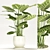 Calathea Orbifolia: Elegant Indoor Plant 3D model small image 1