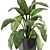 Dieffenbachia: Stylish Indoor Plant 3D model small image 2