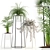 Green Oasis: Plant Collection 88 3D model small image 1