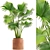 Indoor Clay Pot Palm 3D model small image 1