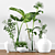 Indoor Plants Tree Collection 3D model small image 1