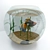 Gilded Aquatic Beauty 3D model small image 2