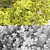 Euonymus Fortunei Bushes- Multiple Sizes 3D model small image 2