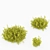 Euonymus Fortunei Bushes- Multiple Sizes 3D model small image 3