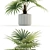 Lush Greens Collection: 94 Varieties 3D model small image 2
