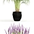 97 Marvelous Plant Assortment 3D model small image 2