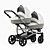 Double Delight: Twin Newborn Carriage 3D model small image 1