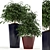 Modern FACET Planters: Elevate Your Space 3D model small image 1