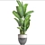 Ravenala Madagascarensis: Exotic Banana Palm 3D model small image 3
