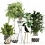 112-Piece Plant Collection: Stunning Variety! 3D model small image 1