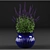 Oakgrass Salvia Flowers in Pot | Caradonna Variety 3D model small image 2