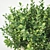 Versatile Buxus for Stunning Landscapes 3D model small image 2