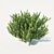 Versatile Buxus for Stunning Landscapes 3D model small image 3