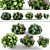 Vibrant Garden Hydrangea 3D model small image 1